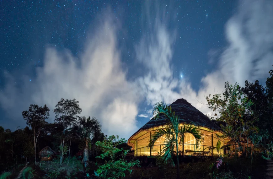 Discovering the Magic of an Ayahuasca Retreat in Sydney