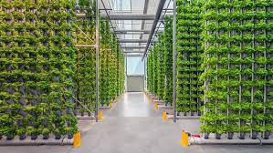 Hydroponic Agriculture