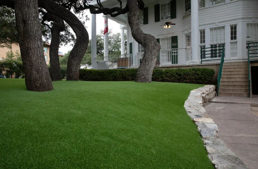 Outdoor Turf in Kansas City